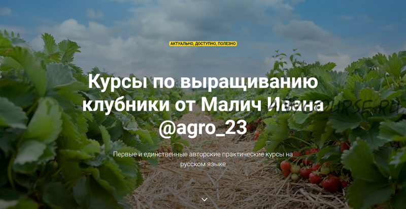 [@agro_23] Курсы по выращиванию клубники (Иван Малич)