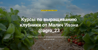 [@agro_23] Курсы по выращиванию клубники (Иван Малич)