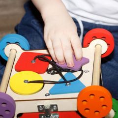 Бизикубик дорожный Семицветик