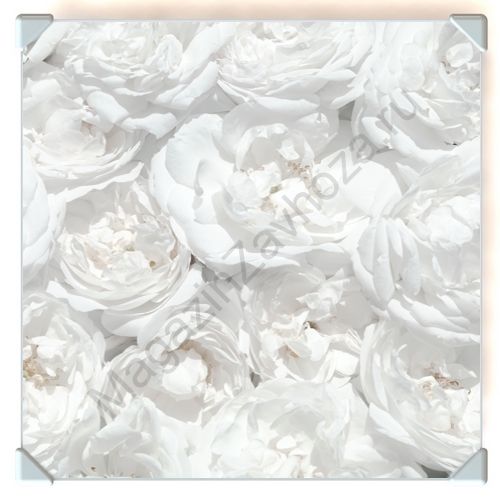 Столешница бел с рисунком №2