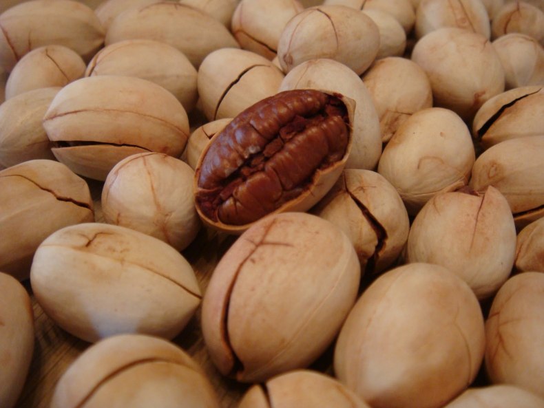 Пекан орех в скорлупе