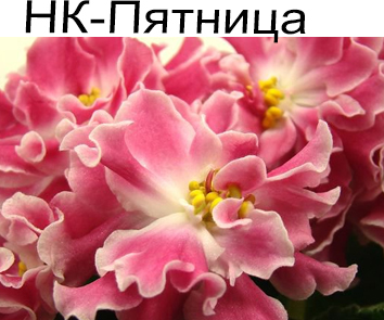 НК-Пятница (Н. Козак) стандарт