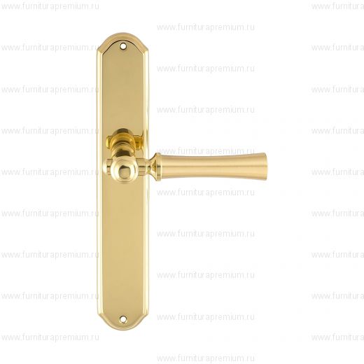 Ручка на планке Extreza Dezi 309 PASS PL01