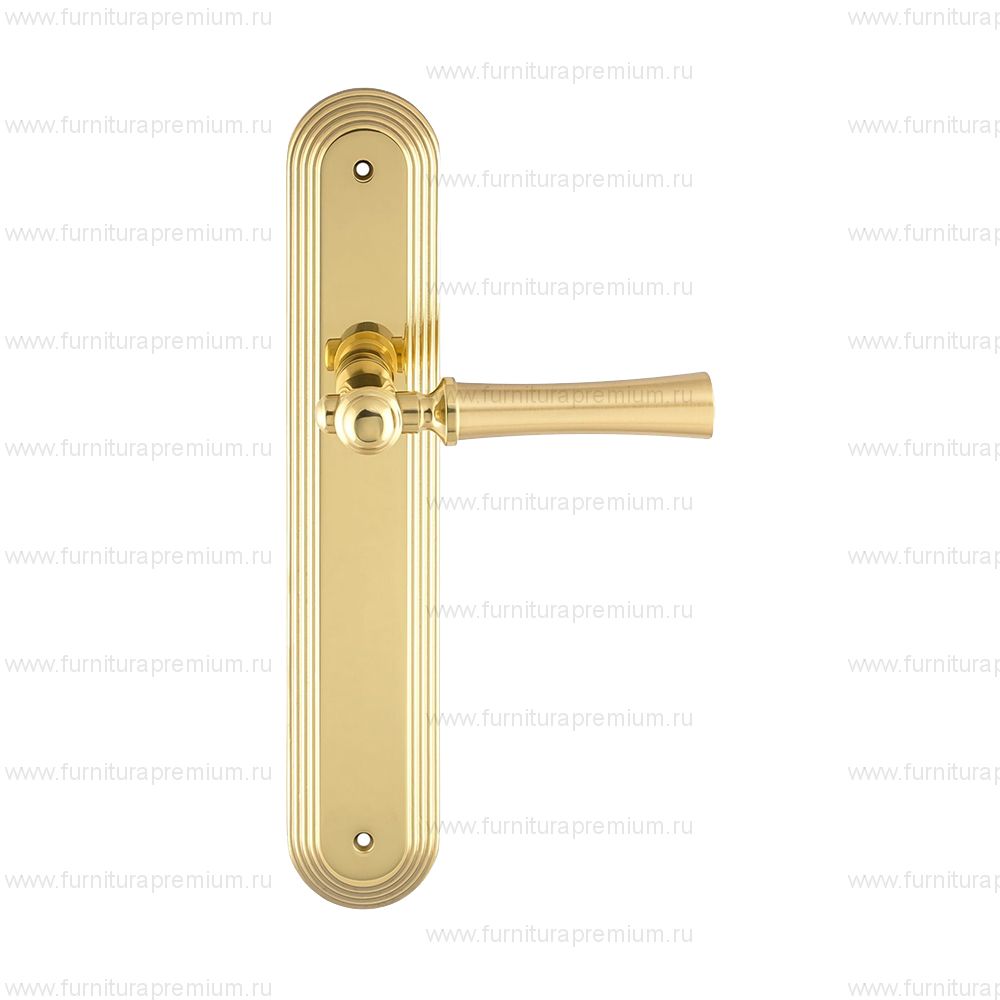 Ручка на планке Extreza Dezi 309 PASS PL05