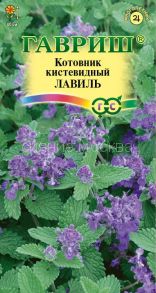 Котовник кистевидный Лавиль (Гавриш)