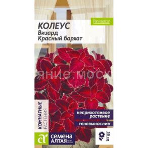 Колеус Визард Красный Бархат (Семена Алтая)