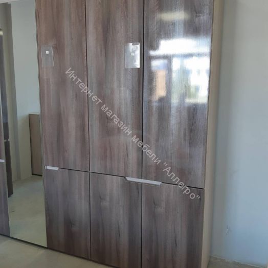 Шкаф 2-х створчатый "Трио" (Серебряный орех/Ясень шимо светлый)