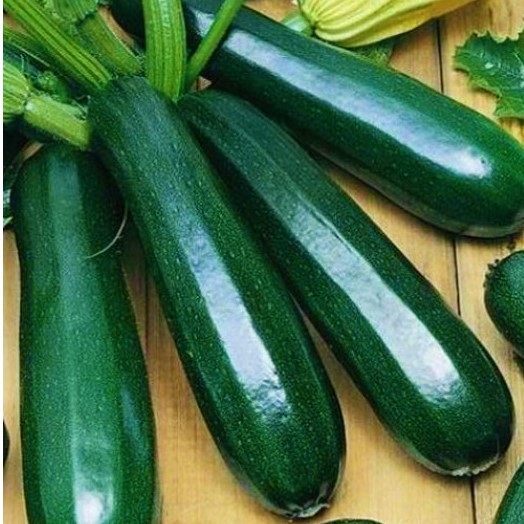 Кабачок цуккини КАНДЕЛА F1, 250 семян