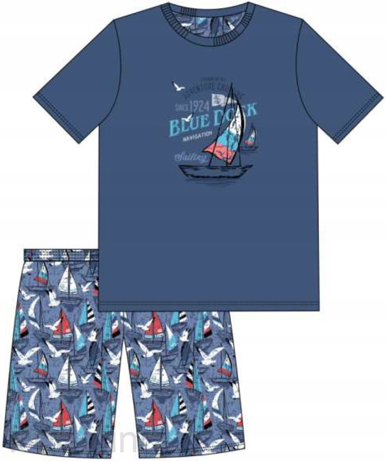 790-96 корнетт