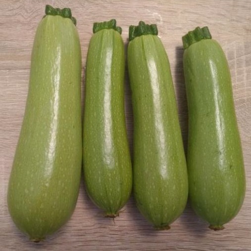 Кабачок Байкал F1, 50шт семян