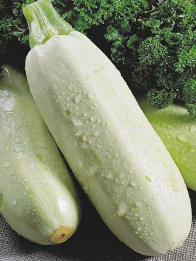 Кабачок Белоплодный, 50шт семян