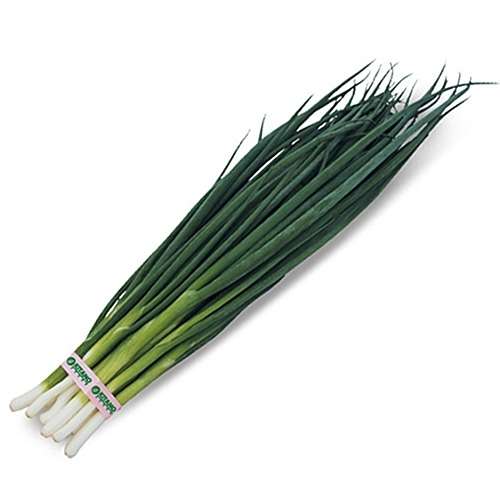 Лук на перо ГРИН БАННЕР, 10.000 семян