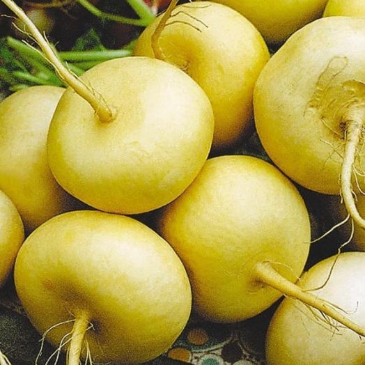 Репа Петровская, 5г семян