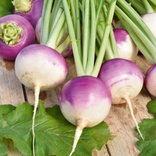 Репа Пурпурная с белым кончиком, 5г семян