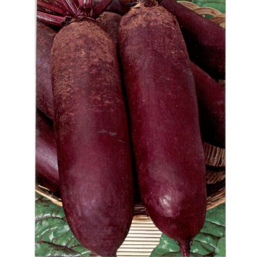 Свёкла столовая Нежность, 5г семян