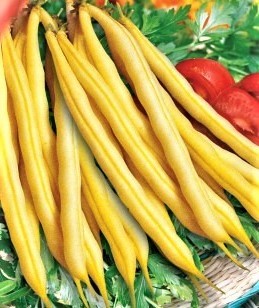 Фасоль овощная Золушка, 25г семян