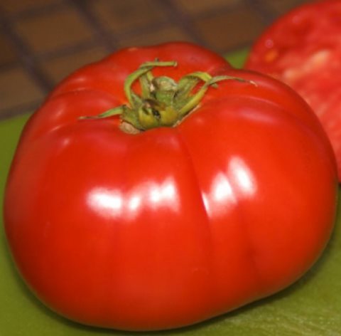 Томат индетерминантный Премьер, 1г семян