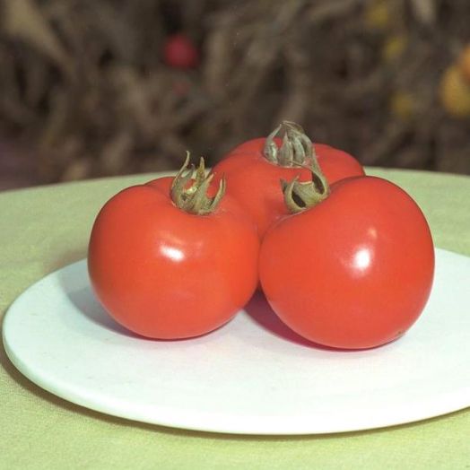 Томат детерминантный Полфаст F1, 50шт семян