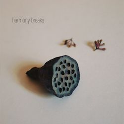 HARMONY BREAKS - Park Of Lakes and Birds