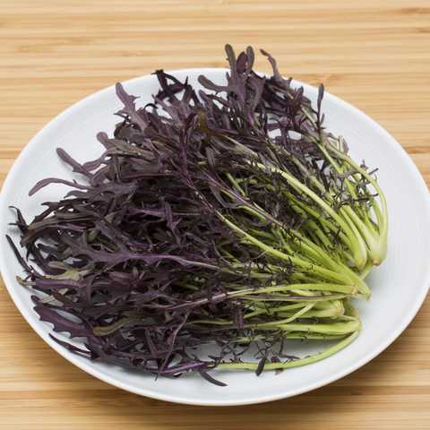 Капуста японская Мизуна красная, 5г семян