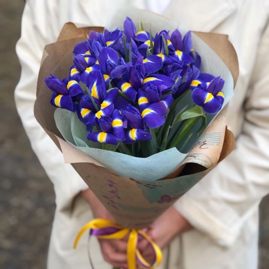Букет из ирисов (от 15шт)