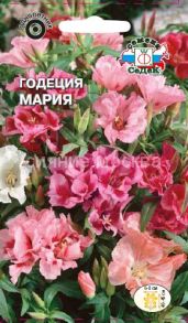 ГОДЕЦИЯ МАРИЯ (СеДеК)