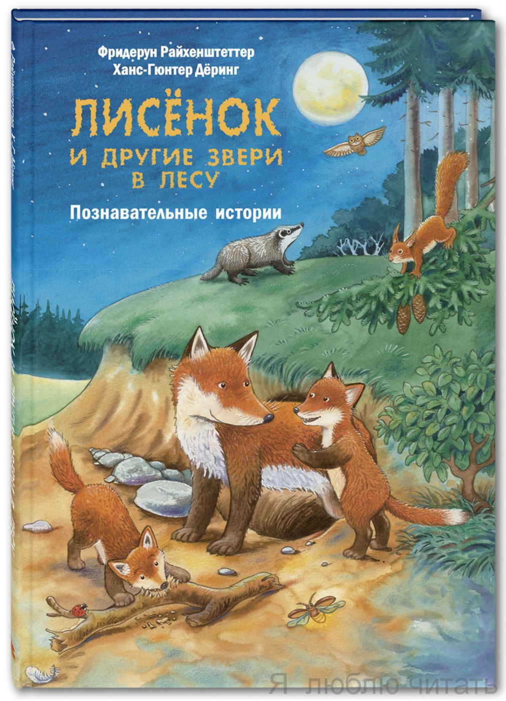 Лисенок и другие звери в лесу