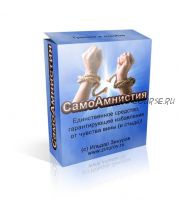 CaмoAмниcтия (Ильдар Зинуров)