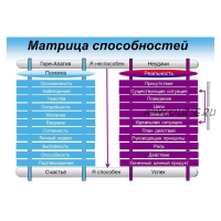 Процессинг по матрице способностей. Пакет «Стандартный» (Олег Матвеев)