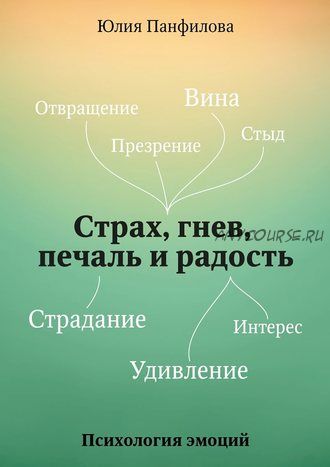 Страх, гнев, печаль и радость (Юлия Панфилова)