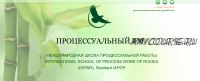 Углубленная работа с Сущностным уровнем в процесс-ориентированном подходе (Ирина Зингерман)