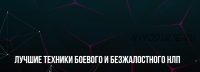 [Институт современного НЛП] Лучшие техники Боевого и Безжалостного НЛП (Михаил Пелехатый)