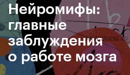 [Level One] Нейромифы: главные заблуждения о работе мозга (Вера Толченникова)