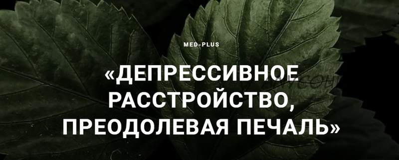 [med-plus] Депрессивное расстройство, преодолевая печаль (Татьяна Шершнева, Анатолий Шершнев)