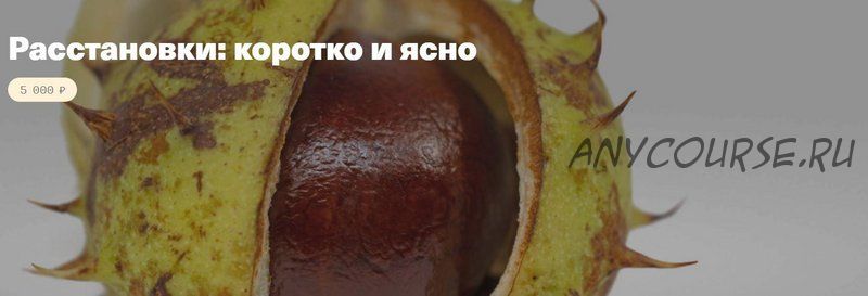 [Timepad] Расстановки: коротко и ясно (Елена Веселаго)