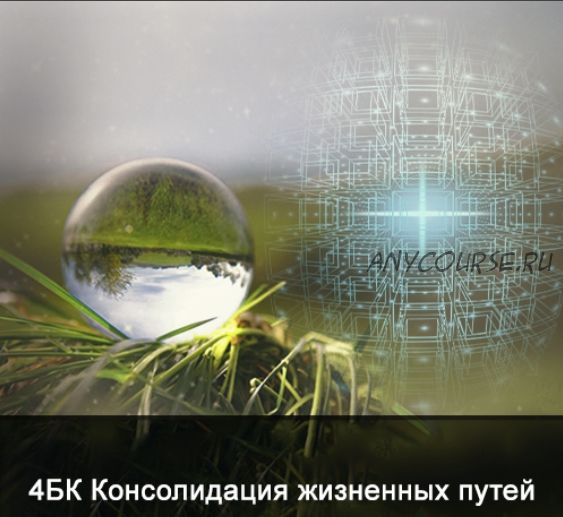4БК Консолидация жизненных путей (Ксения Меньшикова)