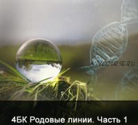 4БК Родовые линии. Часть 1 (Ксения Меньшикова)