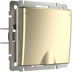 Розетка с Защитной Крышкой и Шторками Werkel W1171211 Шампань, Влагозащитная с Заземлением / Веркель