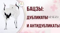 Дубликаты и антидубликаты в астрологической карте Бацзы (Наталья Пугачева)