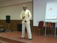 Энергетическая целостность (Хуан Ли)