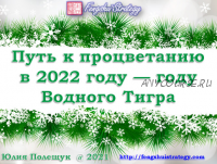 Путь к Процветанию в 2022 году - году Водного Тигра. Первый вариант участия (Юлия Полещук)