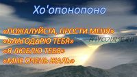 Сборник вебинаров по Хо'опонопоно: «Деньги и Бизнес» (Налани Баскатти)