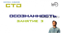 СТО «Осознанность». Занятие №3 (Lee)