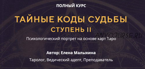 Тайные коды судьбы. Ступень II. Пакет «Теневой портрет» (Елена Малыхина)