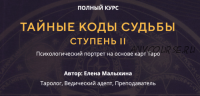 Тайные коды судьбы. Ступень II. Пакет «Теневой портрет» (Елена Малыхина)