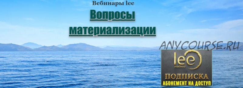 Вопросы материализации (Lee)