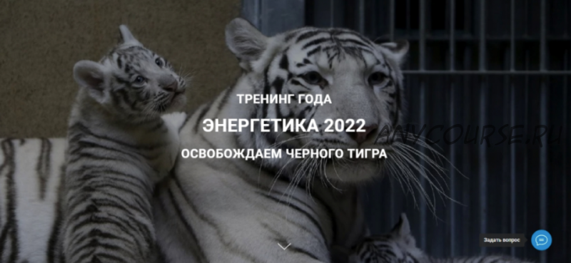 [Дао-Сфера] Энергетика 2022 освобождаем черного тигра. Тариф Платина (Дмитрий Лаптев)