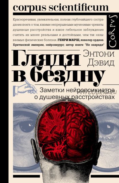 Глядя в бездну. Заметки нейропсихиатра о душевных расстройствах (Энтони Дэвид)