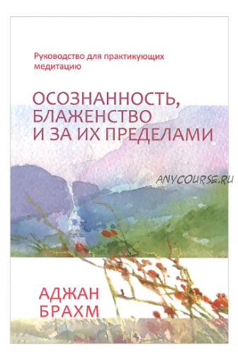 Осознанность, блаженство и за их пределами. Руководство для практикующих медитацию (Аджан Брахм)