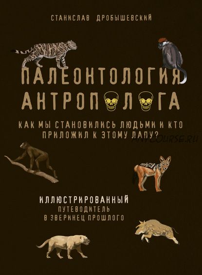 Палеонтология антрополога. Иллюстрированный путеводитель в зверинец прошлого(Станислав Дробышевский)